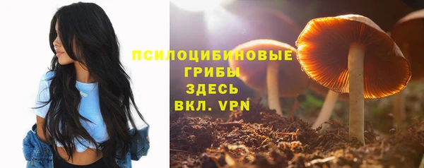 твердый Балабаново