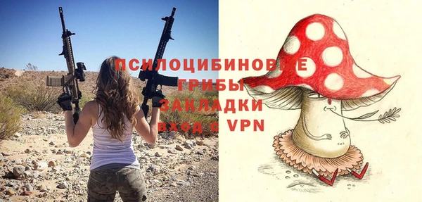 эйфоретик Баксан