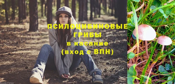 эйфоретик Баксан